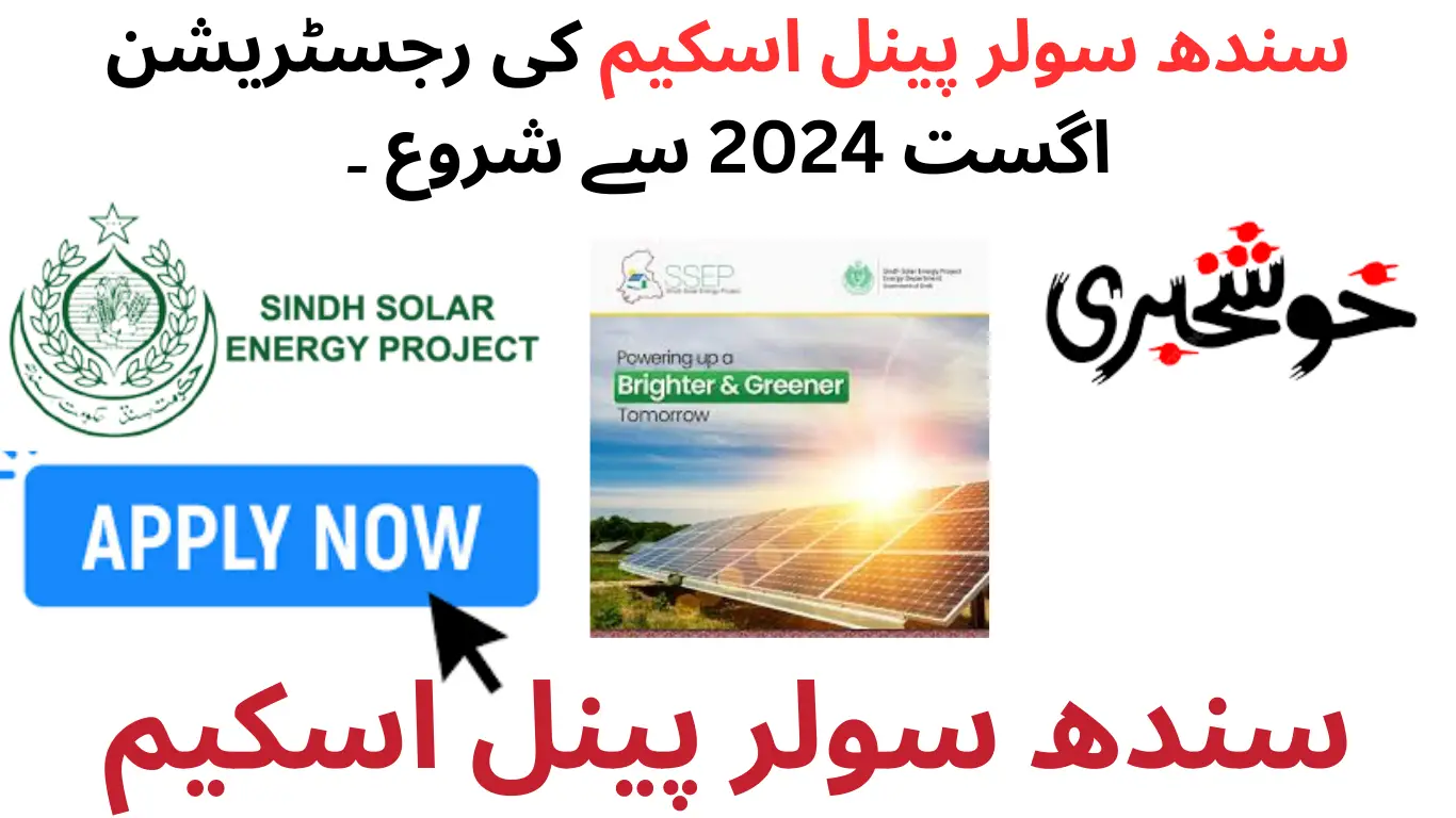 Sindh Solar Panel Scheme