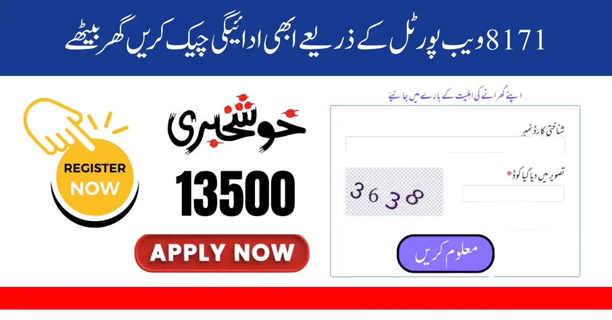8171 Web Portal 13500 Payment Status